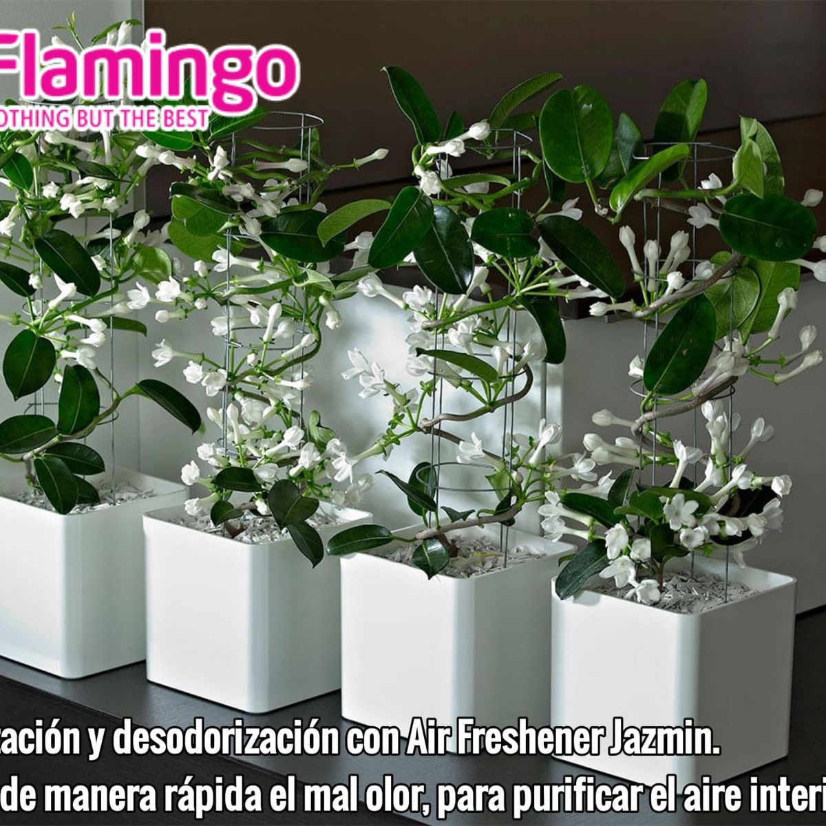 FLAMINGOS - Desodorante Ambiental Jazmin 330 Ml Flamingochile