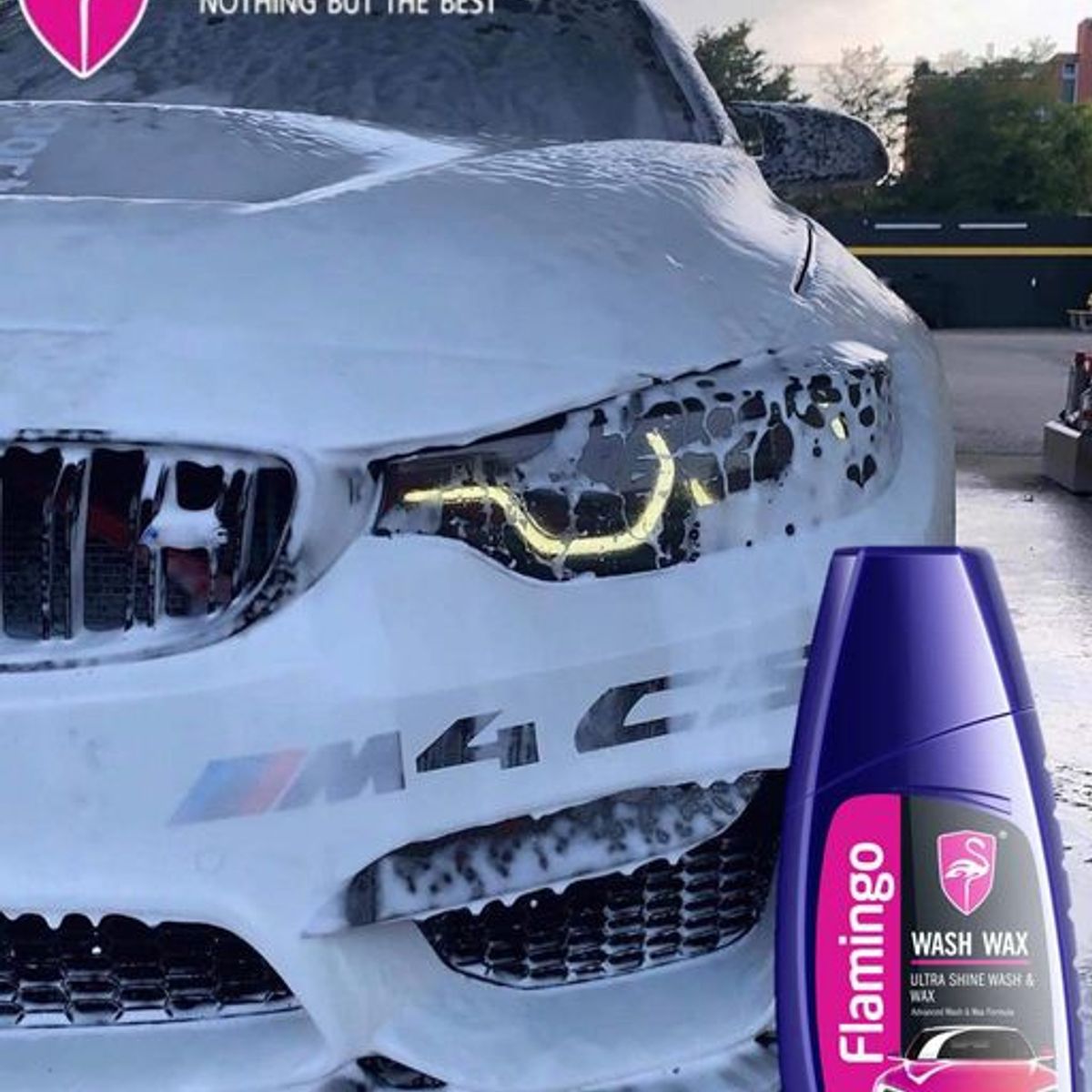 FLAMINGOS - Shampoo Con Cera Para Autos Concentrado 500ml Flamingochile