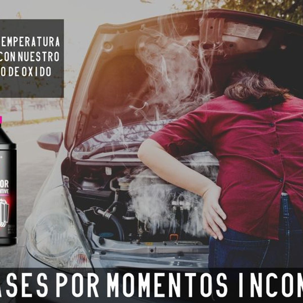 FLAMINGOS - Antioxidante Radiador 354 Ml Flamingochile