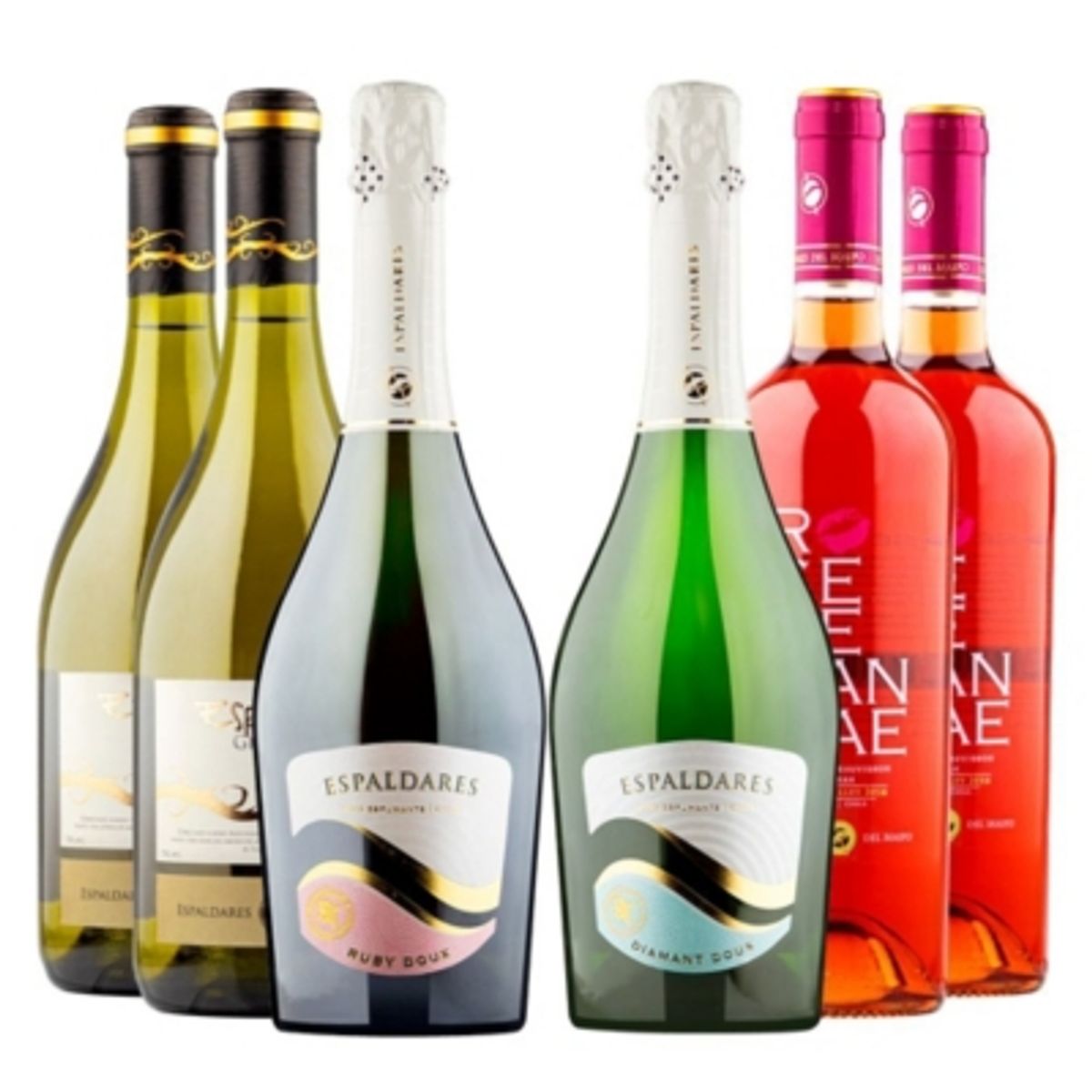 ESPALDARES DEL MAIPO - CAJA X 6 MIX VINOS FRIOS ESPALDARES DEL MAIPO