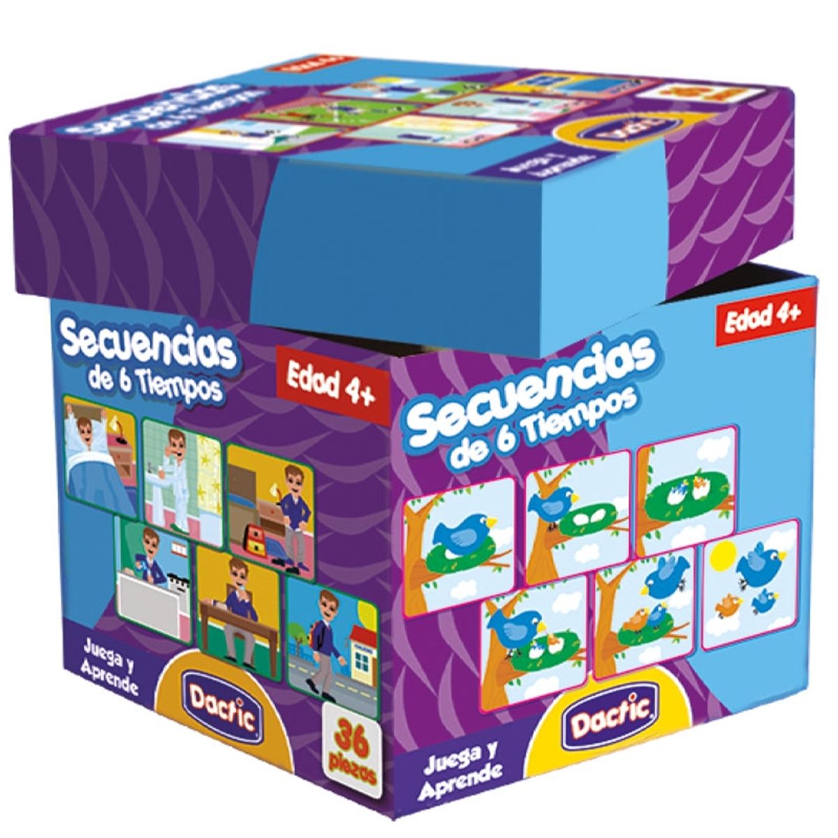 DACTIC - SECUENCIA CARTÓN DE 6 TIEMPOS…