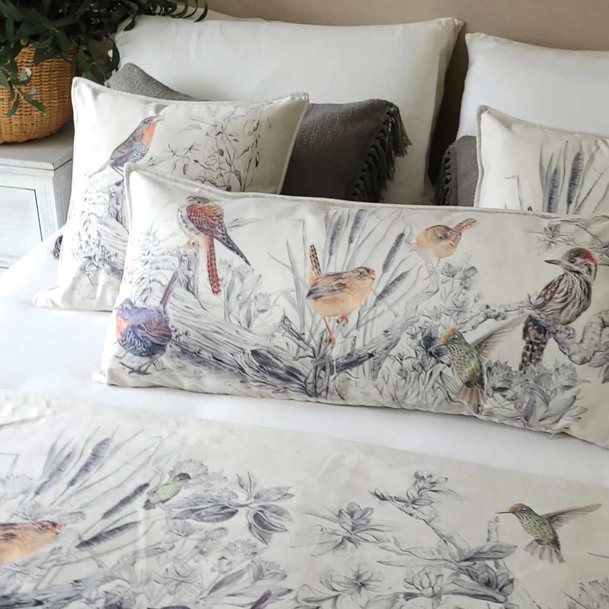 MARGARITA SCHEEL BY CASA ALVARINHO - COJÍN VELVET ENCANTO NATIVO XL