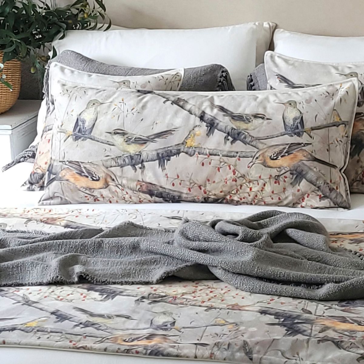 MARGARITA SCHEEL BY CASA ALVARINHO - COJÍN VELVET MIX RAYADITO XL