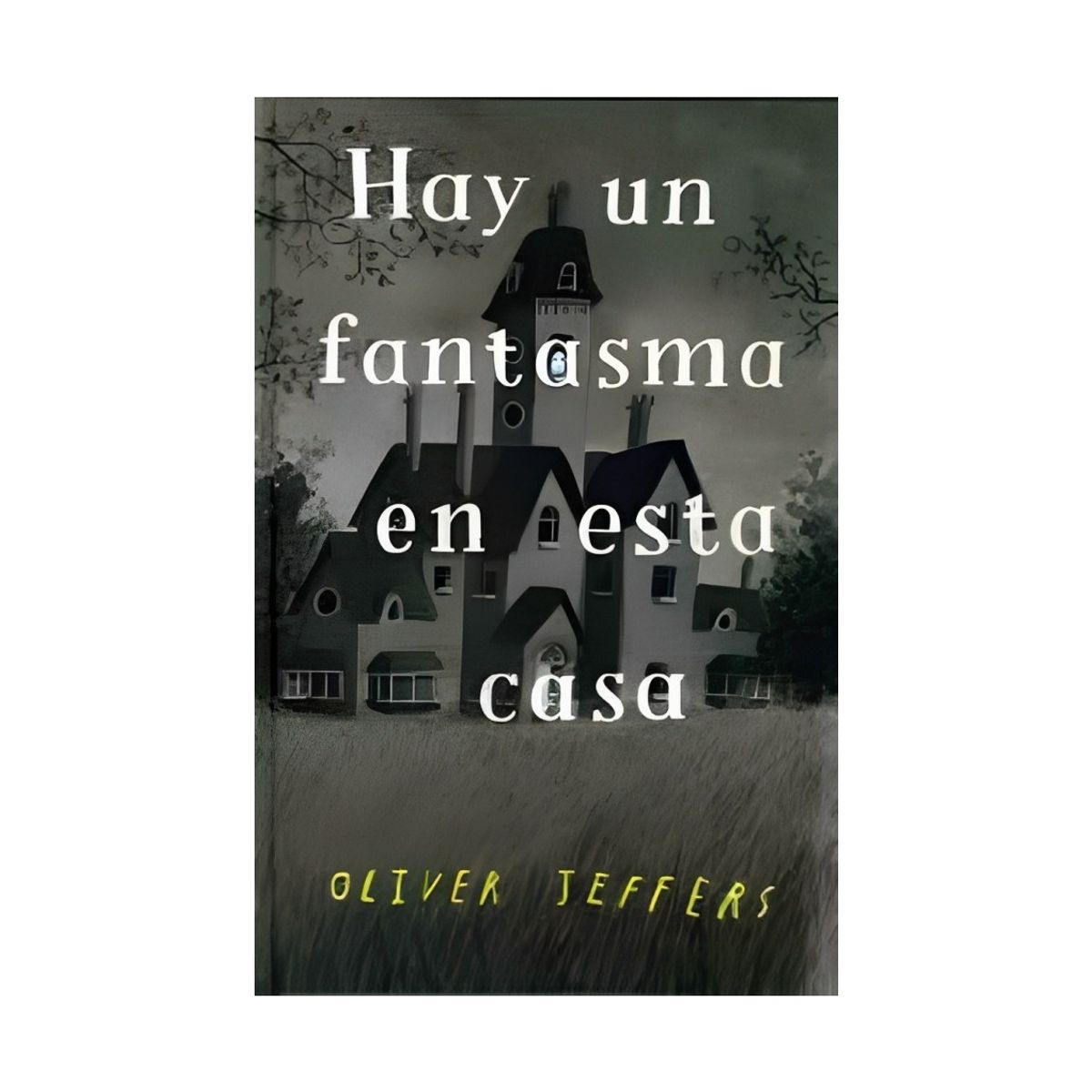TOP10BOOKS - LIBRO Hay Un Fantasma En Esta Casa - Jeffers Oliver