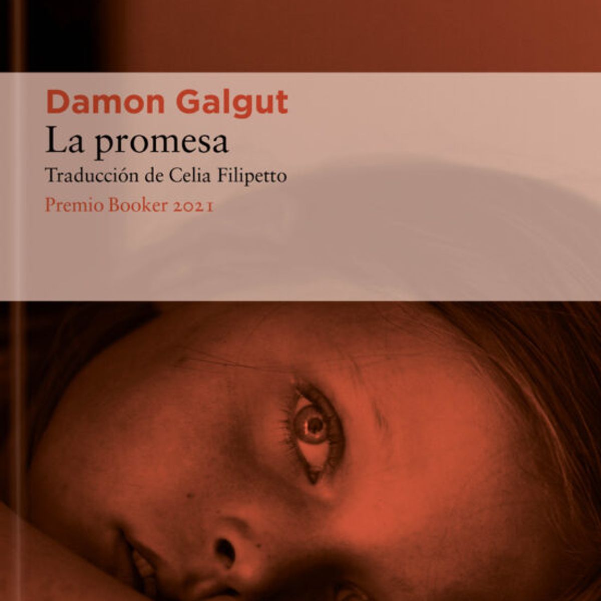 TOP10BOOKS - LIBRO La Promesa - La Promesa