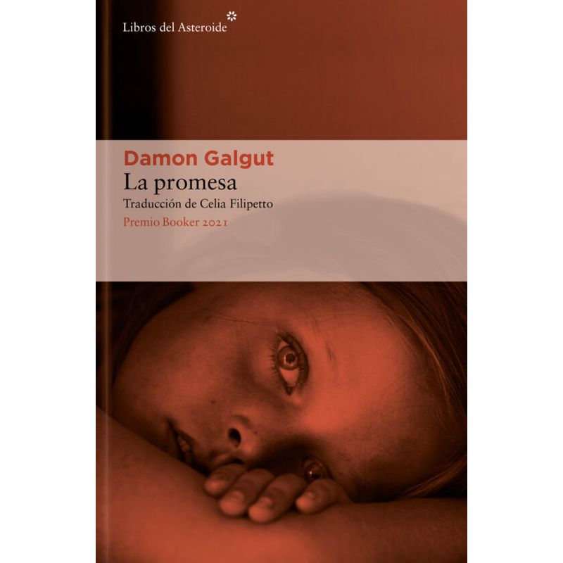 TOP10BOOKS - LIBRO LA PROMESA / DAMON GALGUT / LIBROS DEL ASTEROIDE