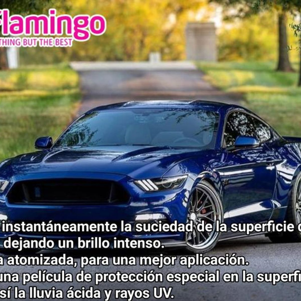 FLAMINGOS - Cera Protectora En Spray 450 Ml Flamingochile