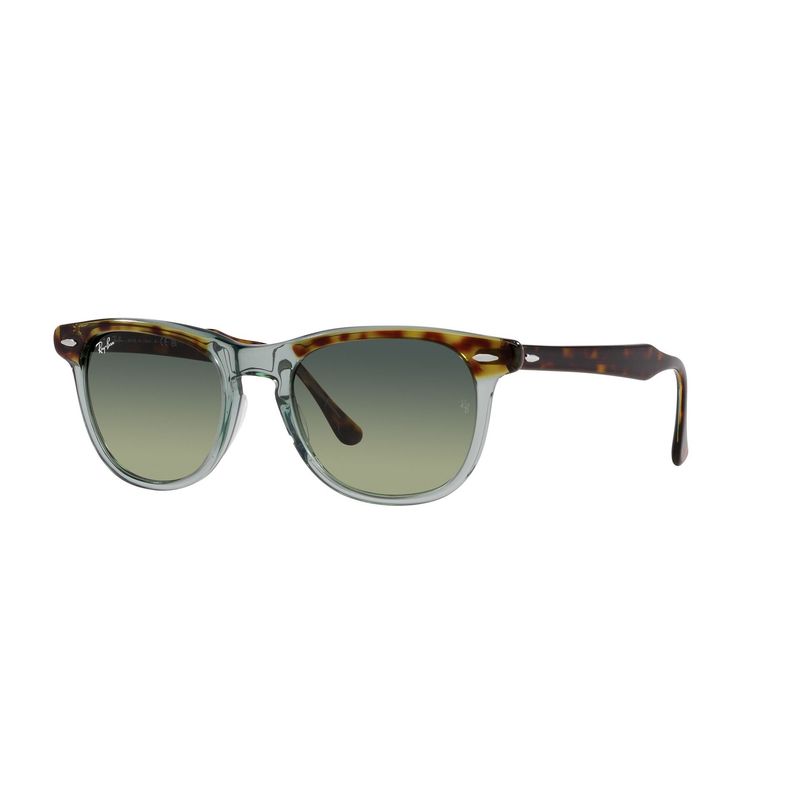RAY BAN - Lentes de sol Ray-Ban Eagleeye
