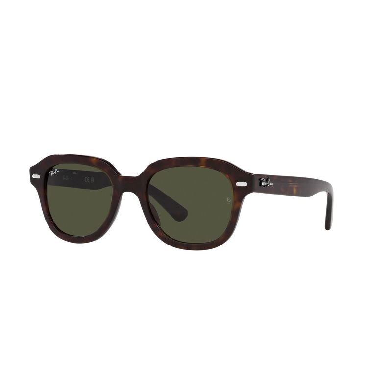 RAY BAN - Lentes de sol Ray-Ban Erik