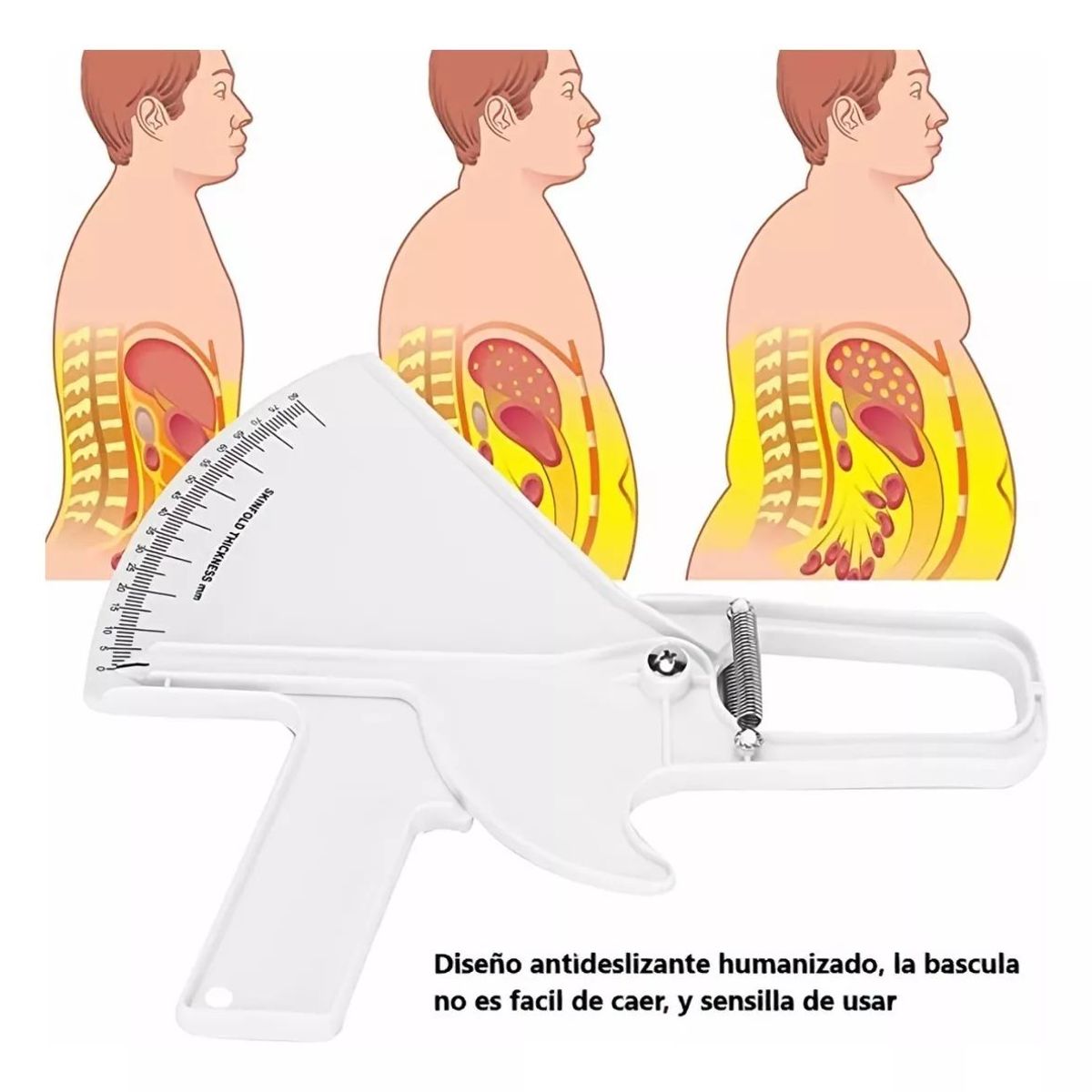 KUANGYE - Calipers Medidor De Grasa Corporal Adipometro  Huincha