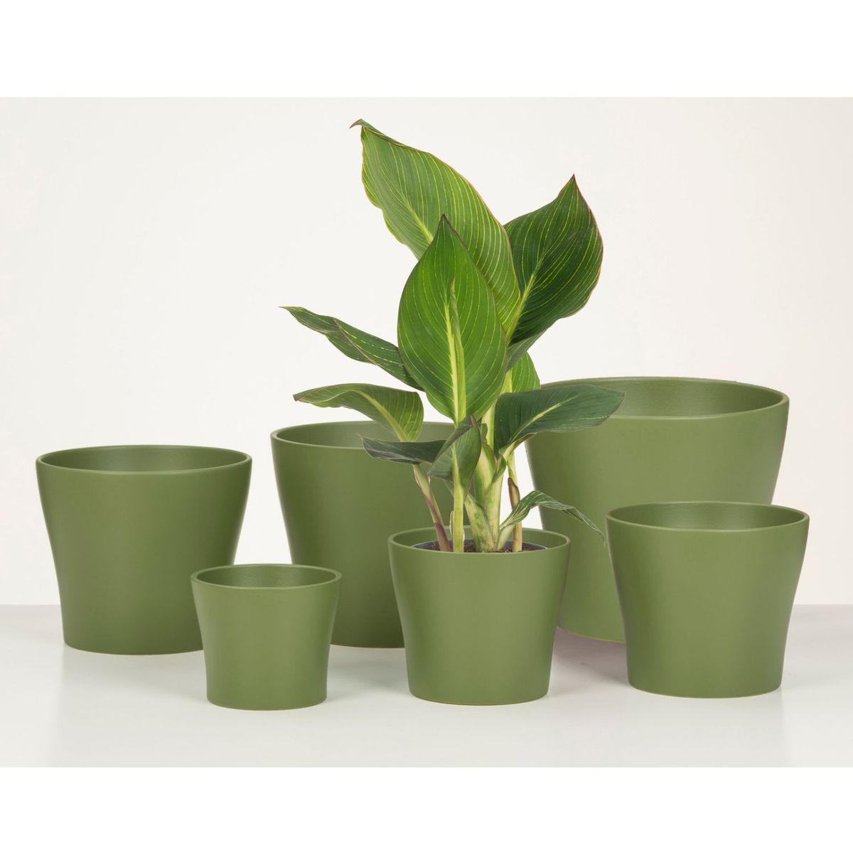 SCHEURICH - Macetero Cerámica 15 cm Verde