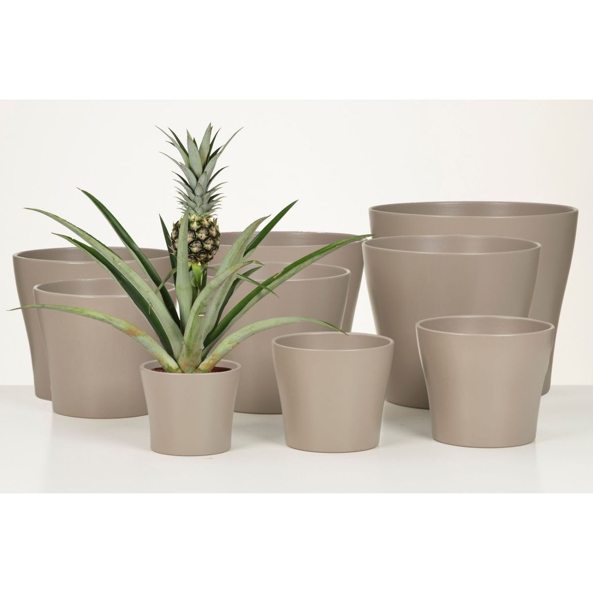 SCHEURICH - Macetero Cerámica 15 cm Café