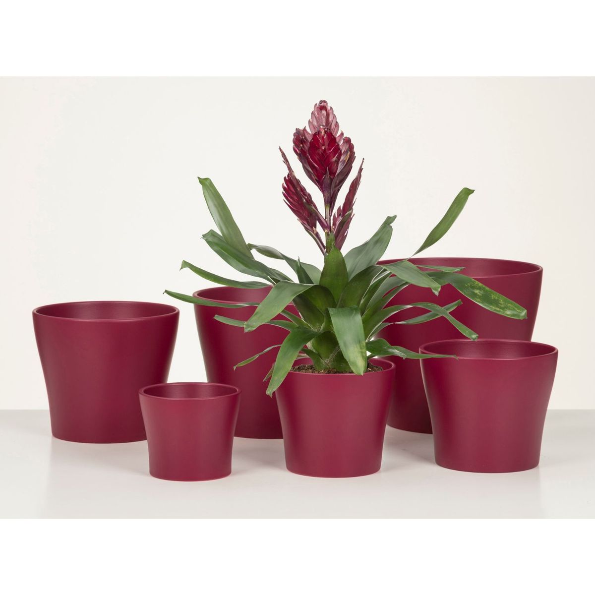 SCHEURICH - Macetero Cerámica 15 cm Burdeo