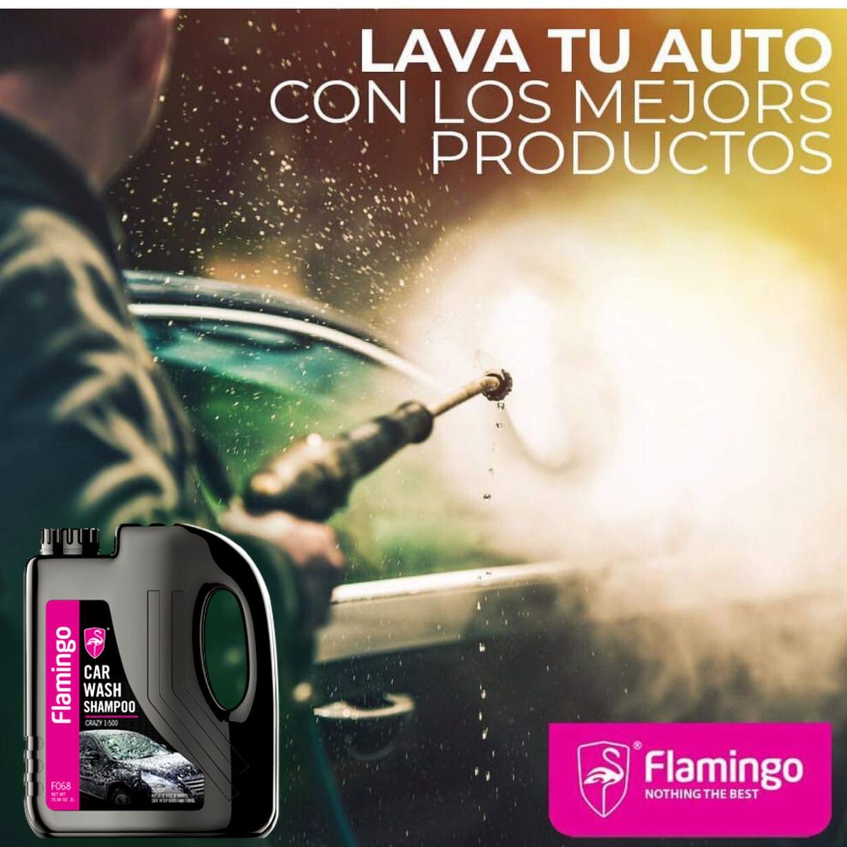 FLAMINGOS - Shampoo Concentrado De Auto 2 Litros Flamingochile