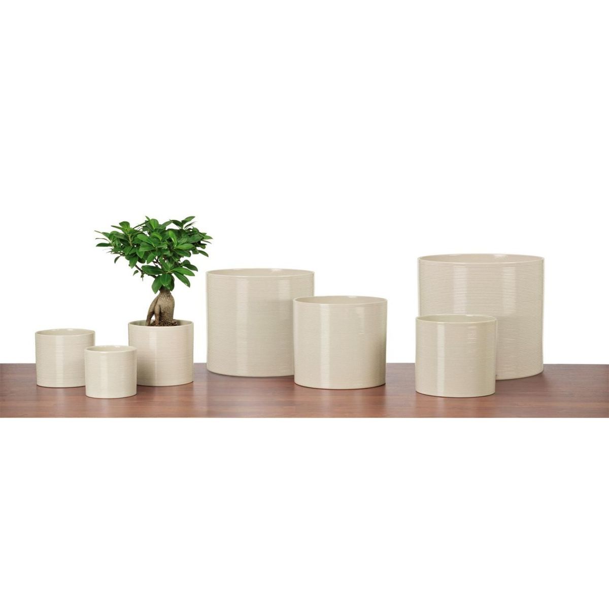 SCHEURICH - Macetero Cerámica 14 cm Café Claro