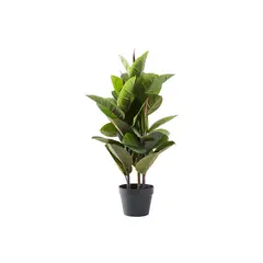URBAN PRODUCTS - FICCUS 80 CMS