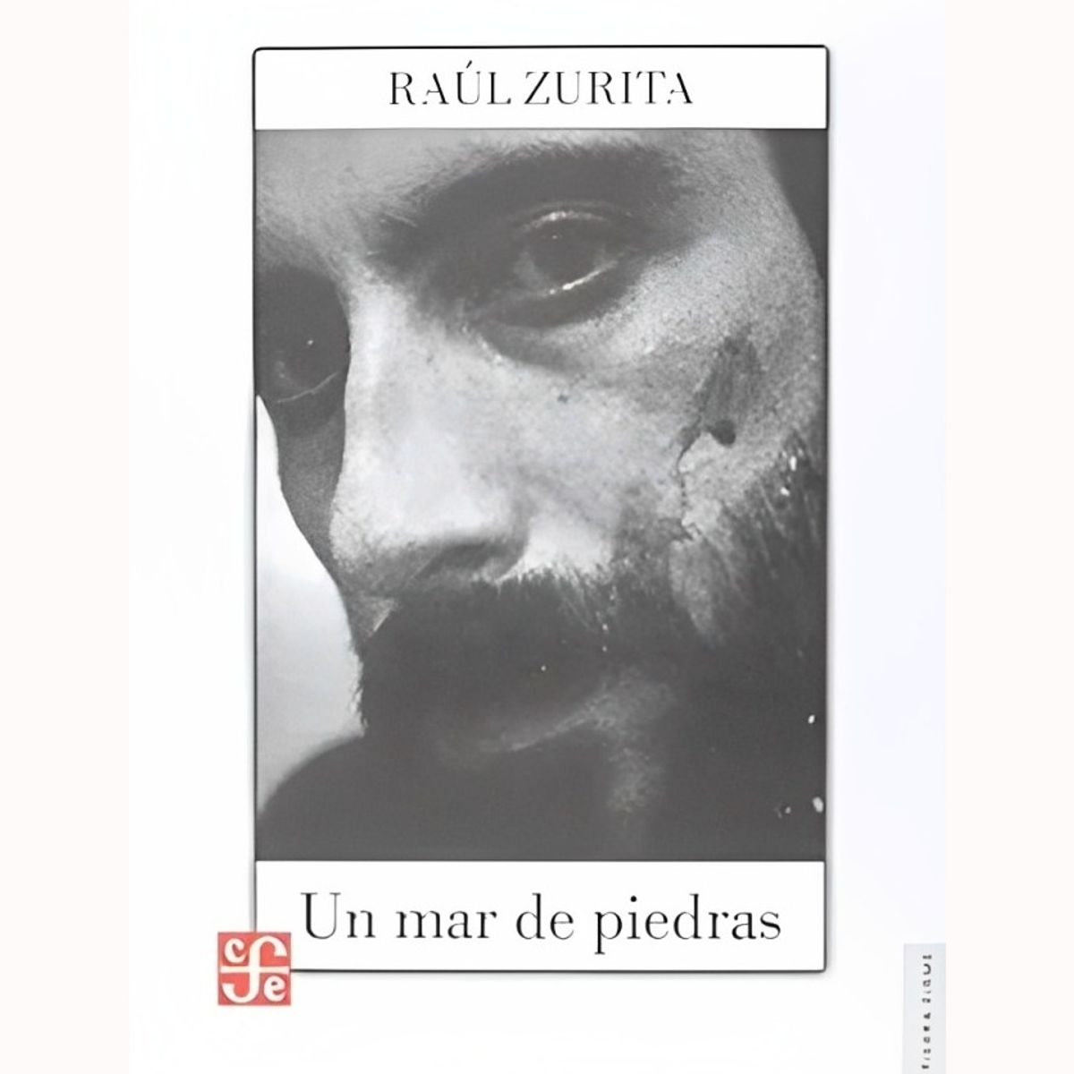 TOP10BOOKS - LIBRO Un Mar De Piedras - Un Mar De Piedras