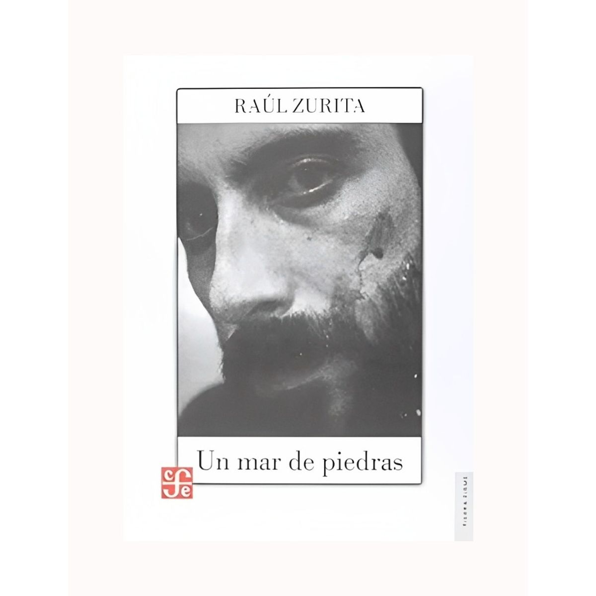 TOP10BOOKS - LIBRO Un Mar De Piedras - Un Mar De Piedras