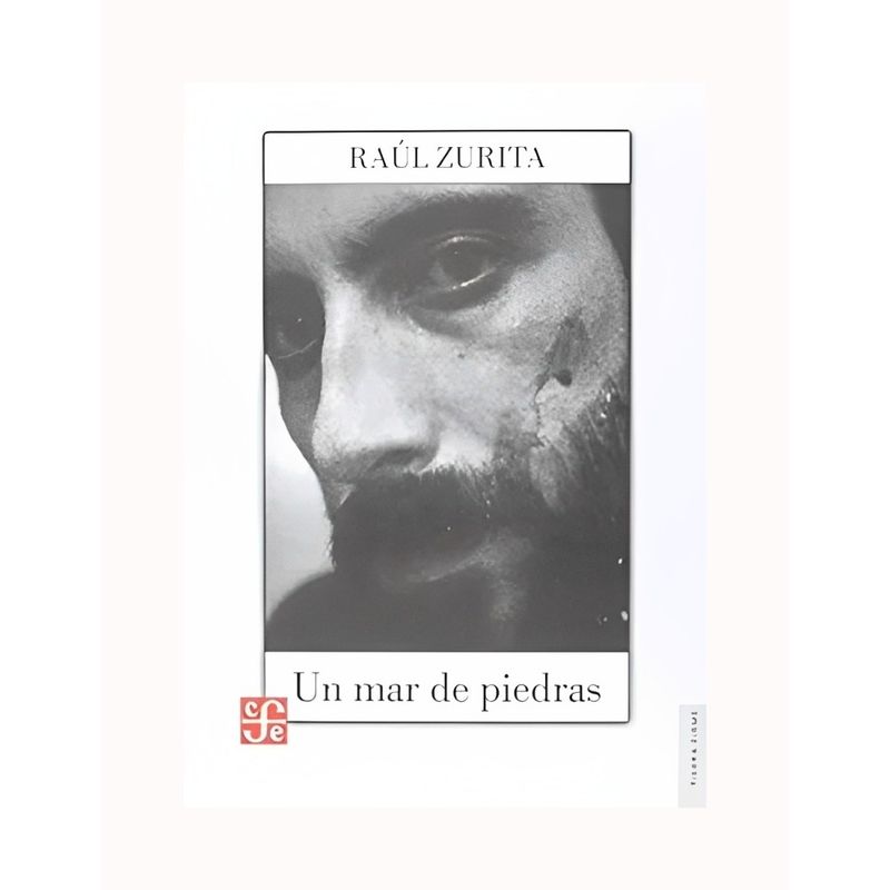 TOP10BOOKS - LIBRO UN MAR DE PIEDRAS / RAUL ZURITA / FCE CHILE