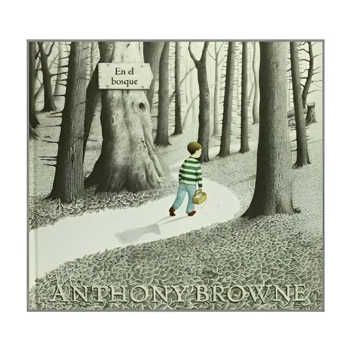 TOP10BOOKS - LIBRO En El Bosque - En El Bosque