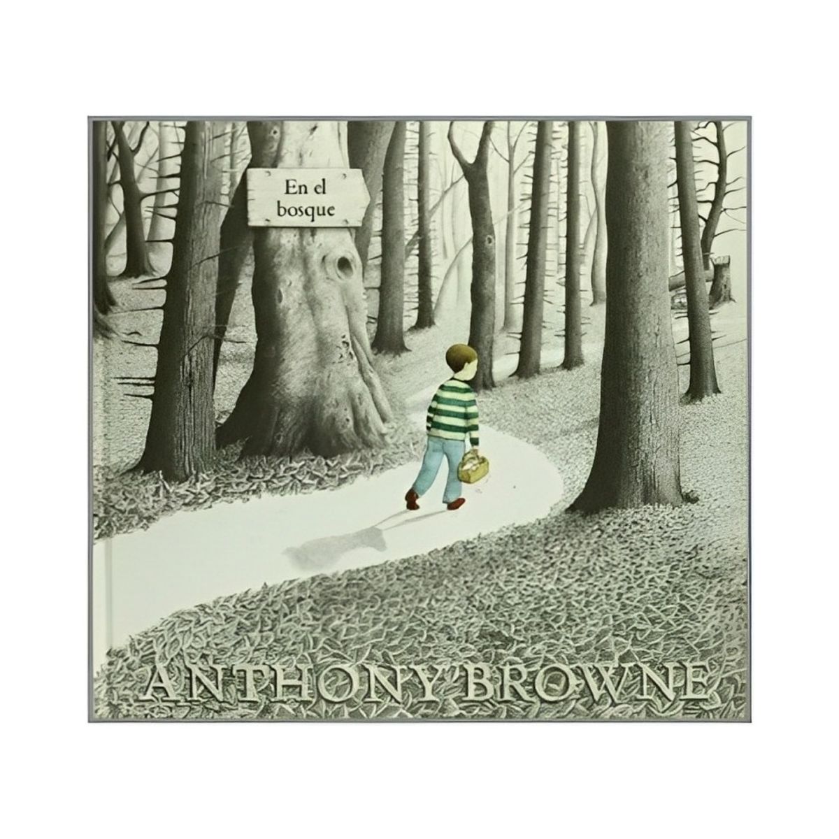 TOP10BOOKS - LIBRO En El Bosque - En El Bosque