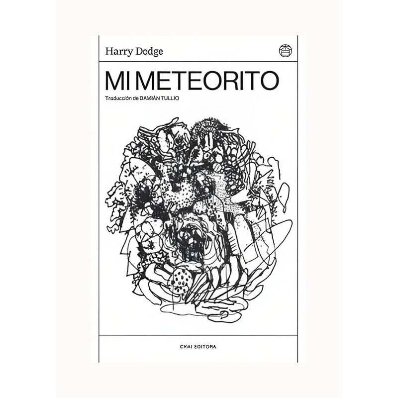 TOP10BOOKS - LIBRO MI METEORITO / HARRY DODGE / CHAI