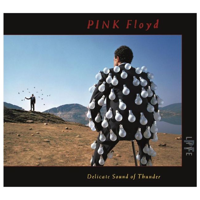 HITWAY MUSIC - PINK FLOYD - DELICATE SOUND OF THUNDER (2CD) - CD HITWAY MUSIC