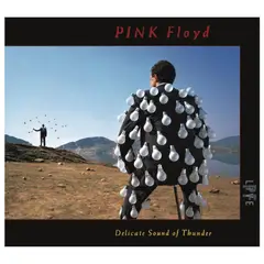 HITWAY MUSIC - PINK FLOYD - DELICATE SOUND OF THUNDER (2CD) - CD