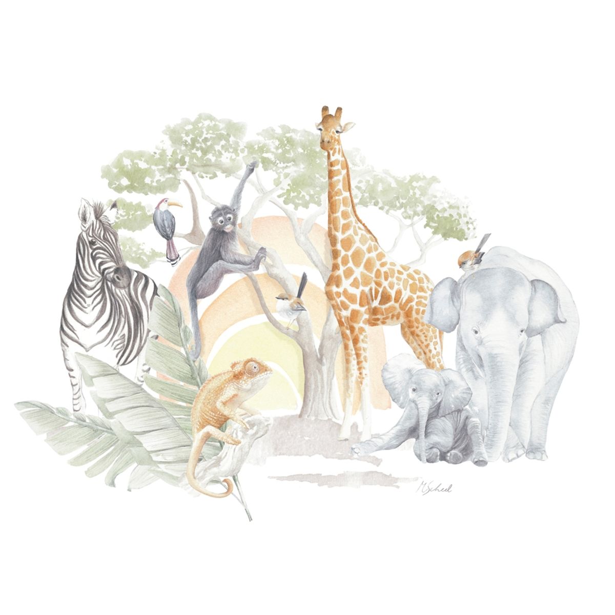 MARGARITA SCHEEL BY CASA ALVARINHO - Cubreplumón Transición Safari