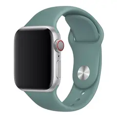 FOXYSMART - Correa de silicona para Apple Watch Sport Band 38 - 41 mm