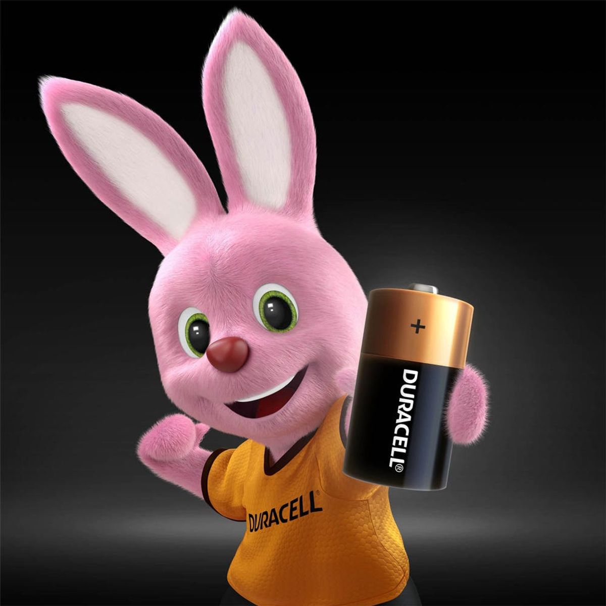 DURACELL - BLISTER PILAS TAMANO C X2 DURACELL