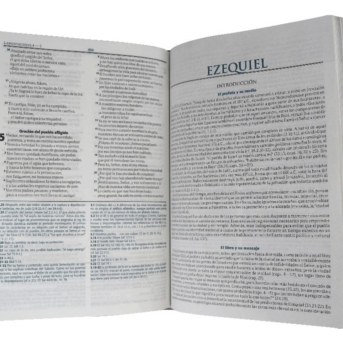 SOCIEDADES BIBLICAS UNIDAS - Biblia Reina Valera Contemporánea De Estudio gris duotono