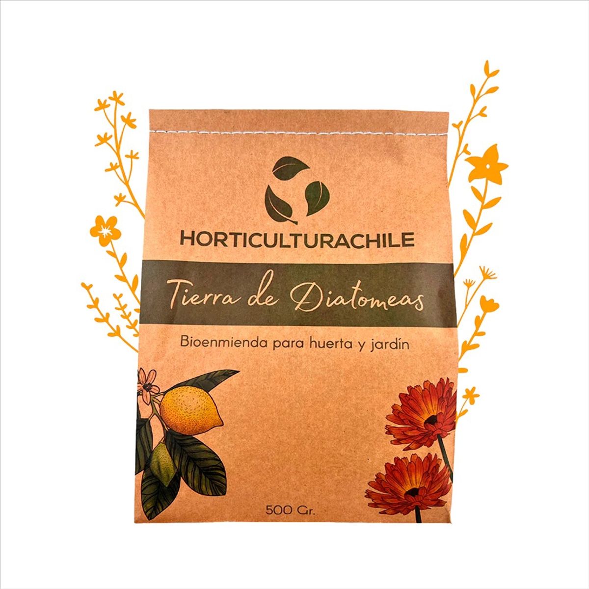 HORTICULTURACHILE - Tierra de diatomeas 500 gramos