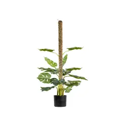 GENERICO - Tutor para Plantas de 100 cm, musgo sphagnum vivo