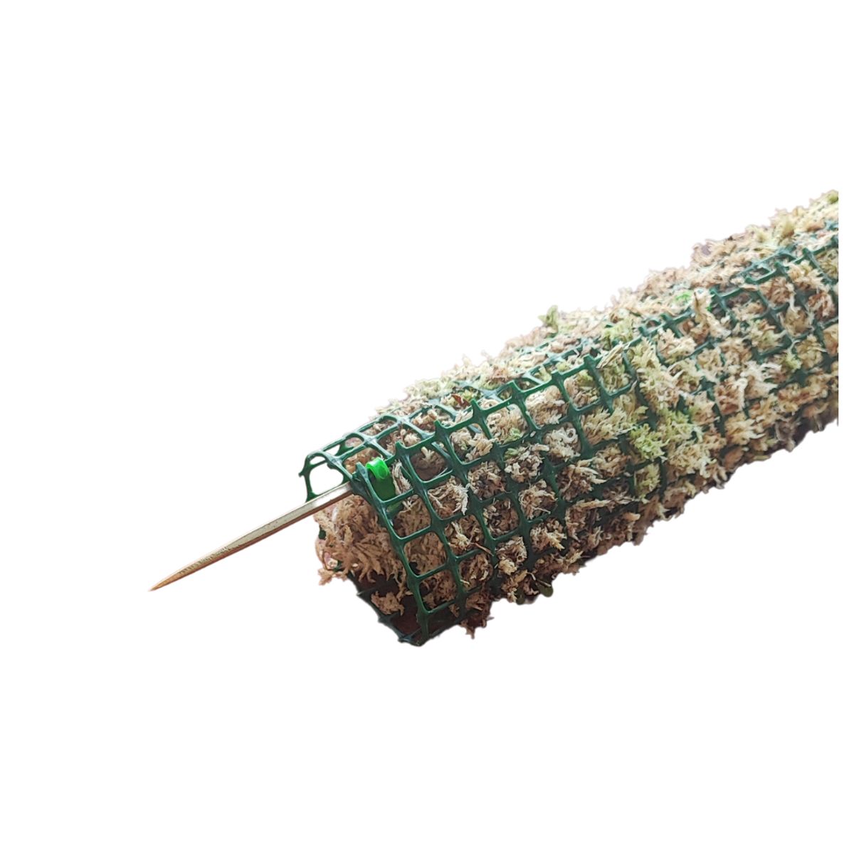 GENERICO - Tutor para Plantas de 100 cm, musgo sphagnum vivo