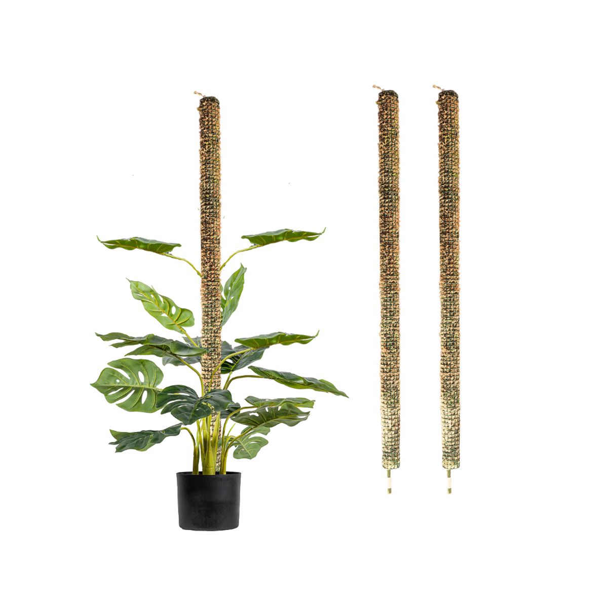GENERICO - Set de 3 Tutores de 100 cm para Plantas