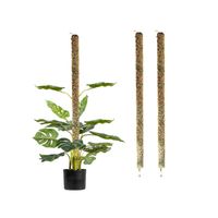 Set de 3 Tutores de 100 cm para Plantas