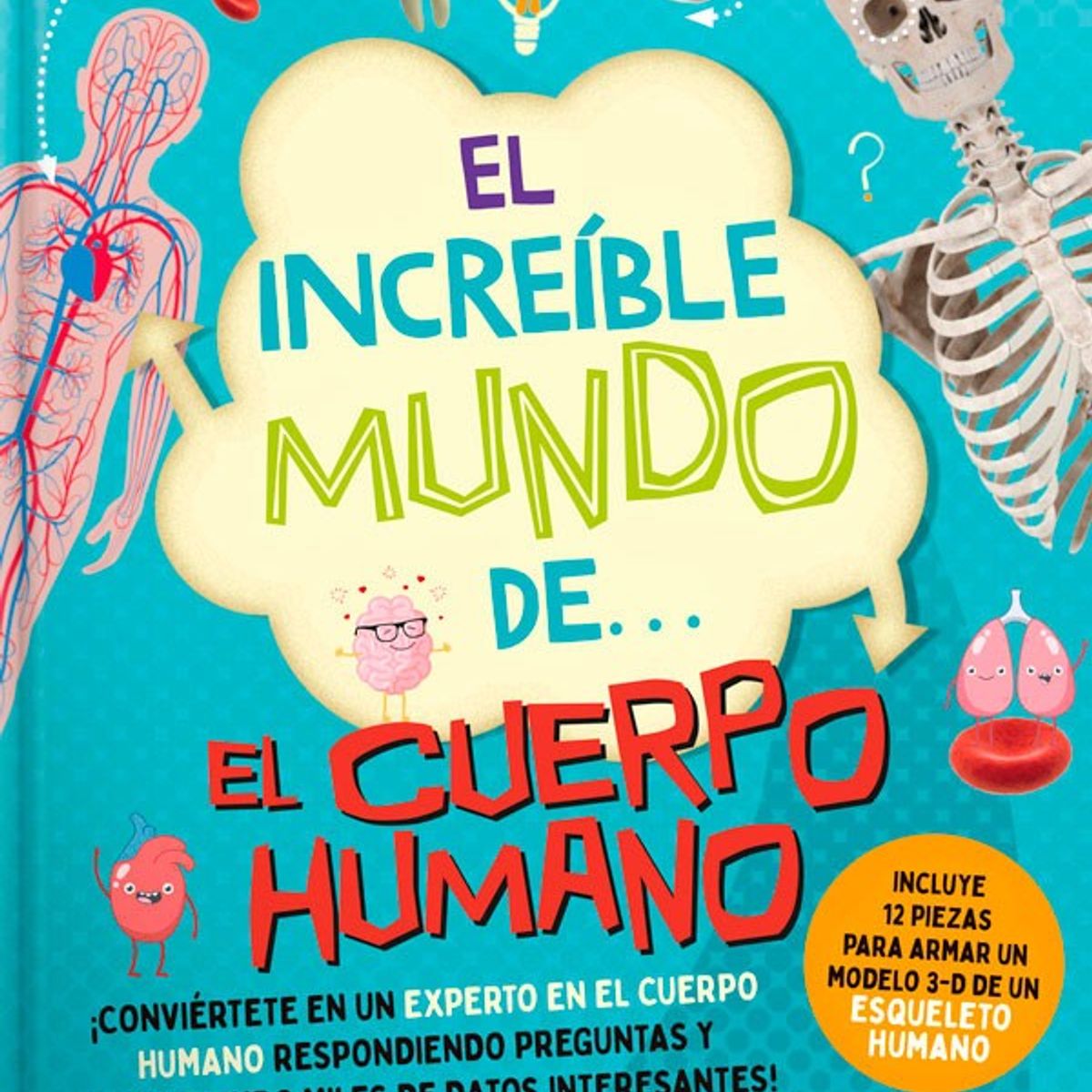 EDITORIAL CONTRAPUNTO - El Increíble Mundo De… El Cuerpo Humano (+ Modelo 3d)