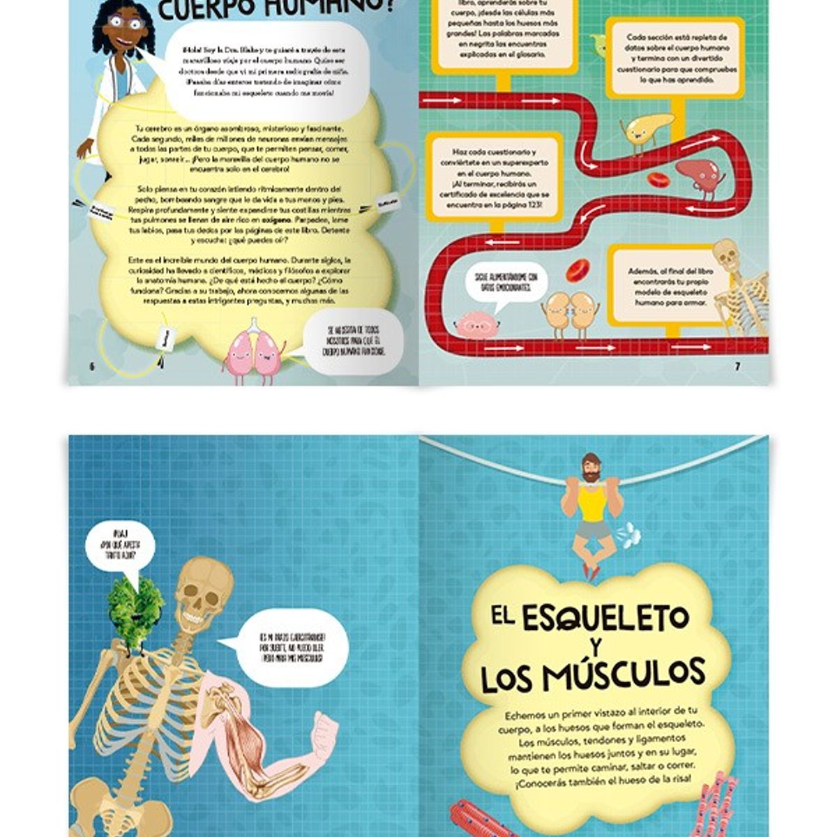 EDITORIAL CONTRAPUNTO - El Increíble Mundo De… El Cuerpo Humano (+ Modelo 3d)