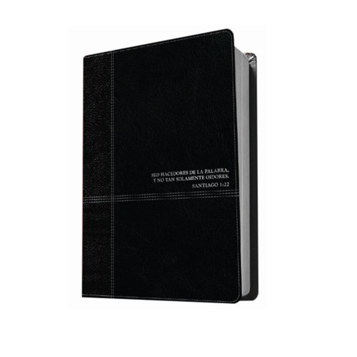 TYNDALE HOUSE PUBLISHERS - Biblia de estudio Diario Vivir Reina Valera 1960 Negro