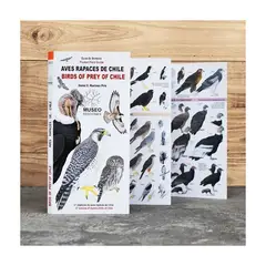 MUSEO EDICIONES - Aves Rapaces De Chile. Guia Desplegable