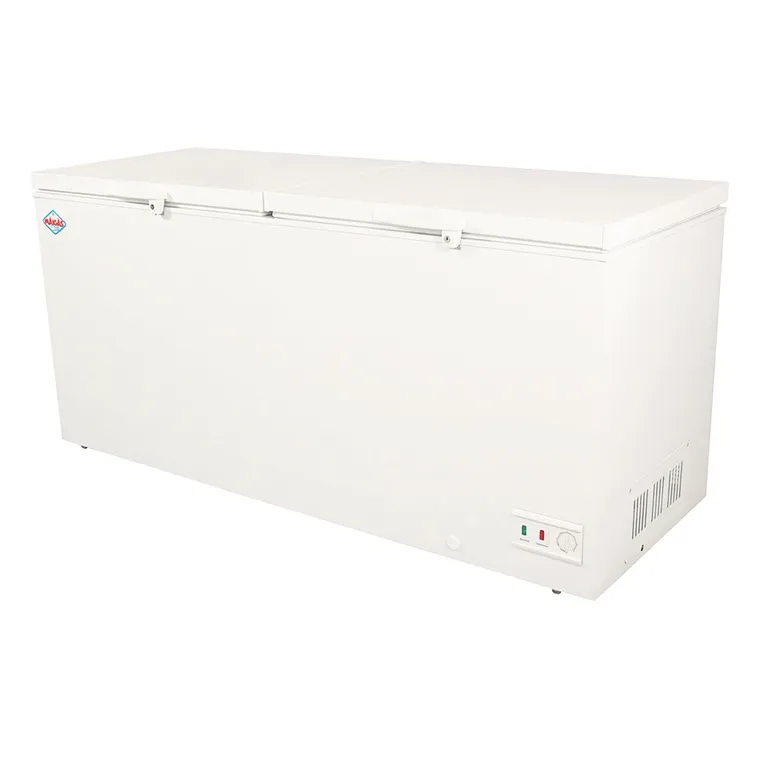 MAIGAS Congelador Horizontal 612 LT Blanco High Freezing BD612