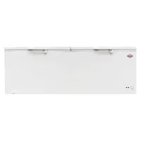 Congelador Horizontal 745 LT Doble Tapa High Freezing BD-745
