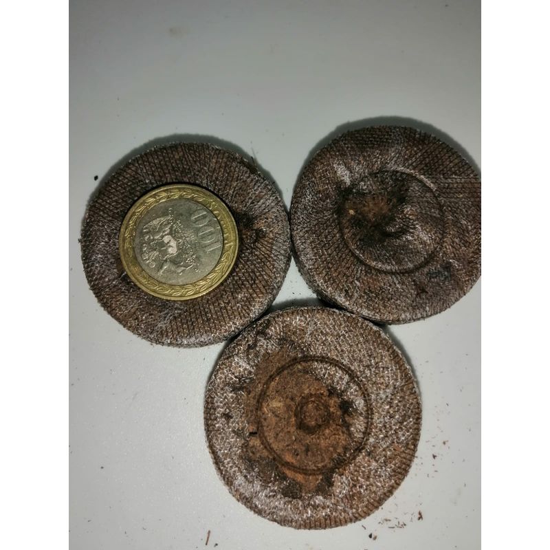 GROW SWEET - Jiffys 42*63, Germinadores De Turba Prensada 10 Unidades