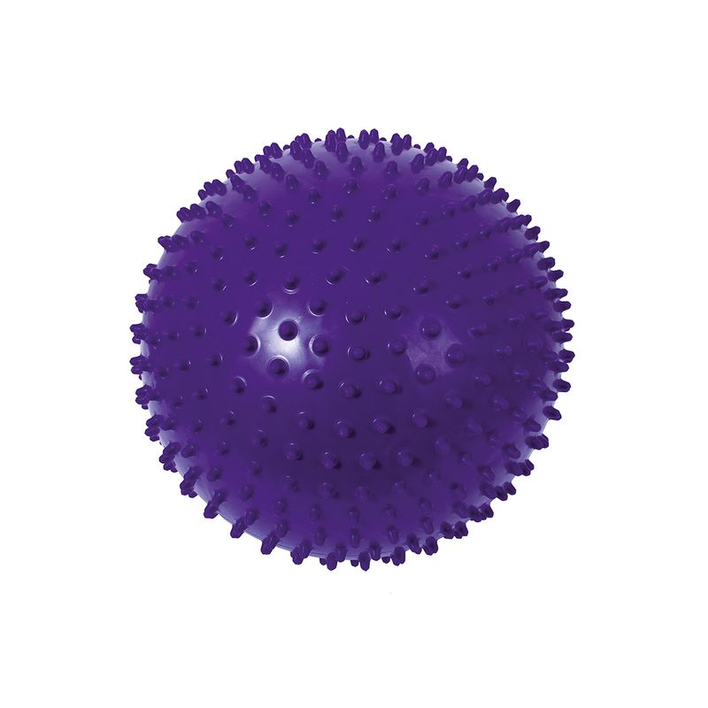 DACTIC - PELOTA PUERCO ESPÍN 30 CM