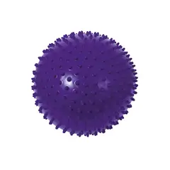 DACTIC - PELOTA PUERCO ESPÍN 30 CM