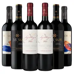 BBVINOS - 6 Vinos Mix Asado Reservado - Rojo