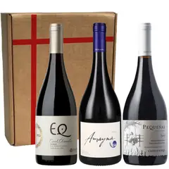 BBVINOS - 3 Vinos Trilogía Syrah