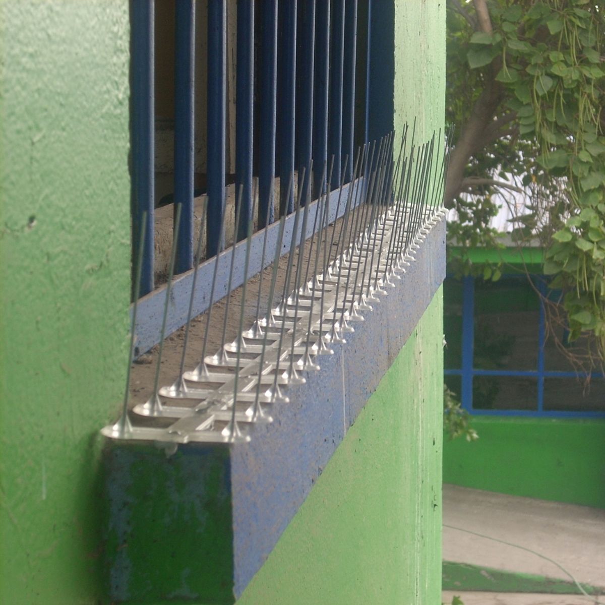 GENERICO - Pack Pinchos Púas Anti Palomas 12 Metros Acero Inoxidable