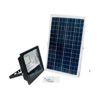 Foco Solar 200w Panel Solar Ip67 Kit Control